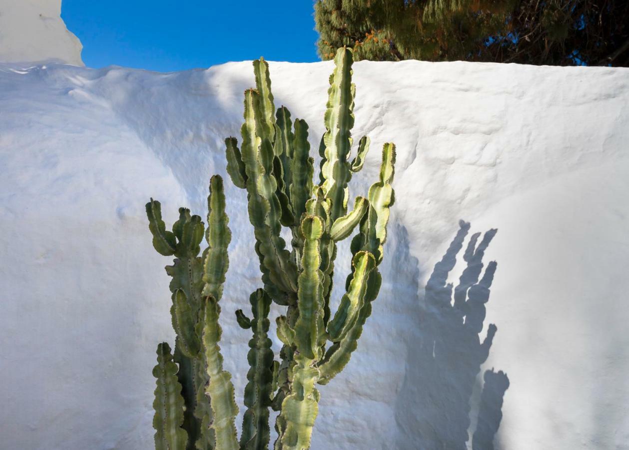 23 Hotel Mykonos Mykonos Town Экстерьер фото